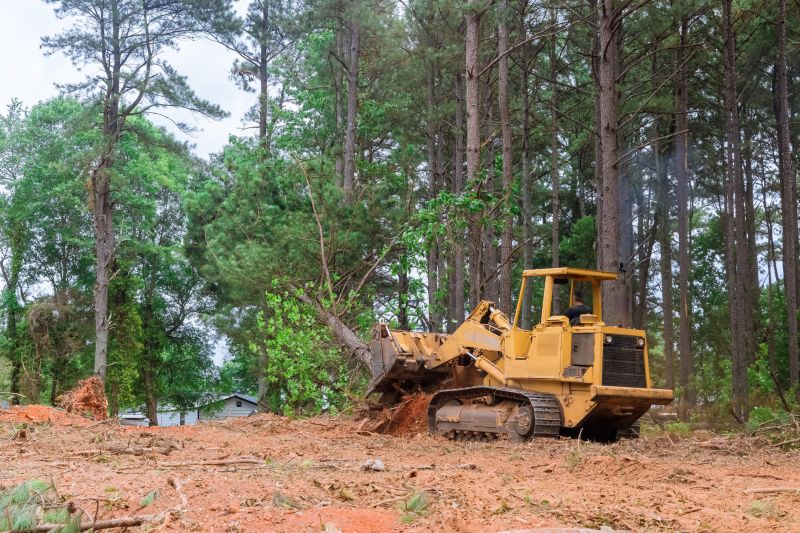 Bulldozer Clearing Land