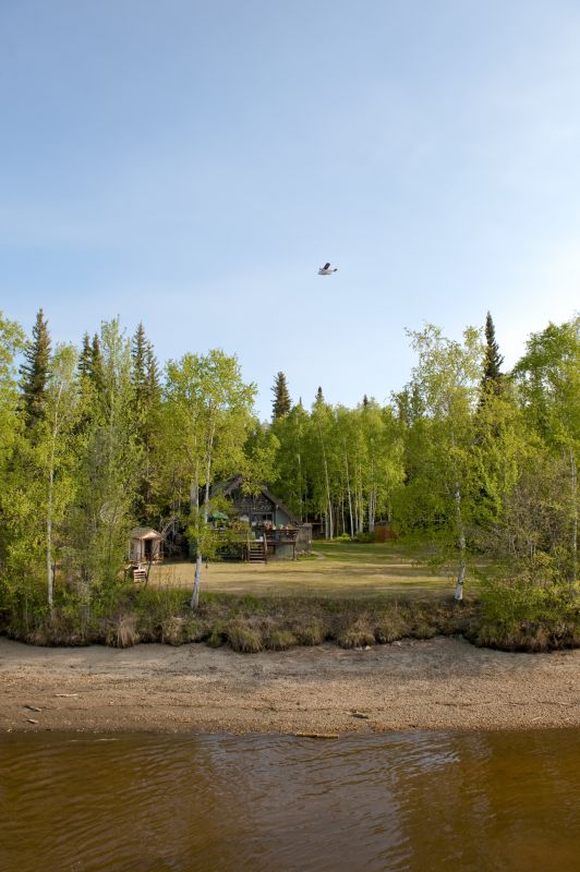 Pool Land Clearing in Salt Lake City, UT