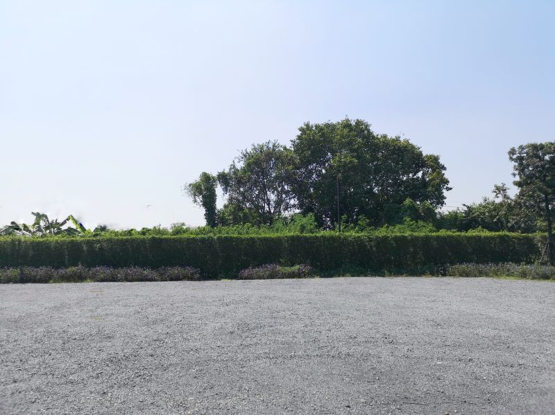 Yard Grading in Houston, TX